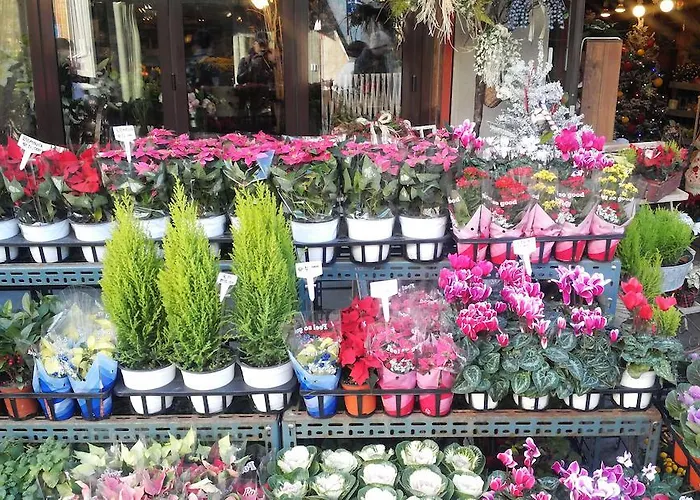 Oppa Sinchon-hongdae