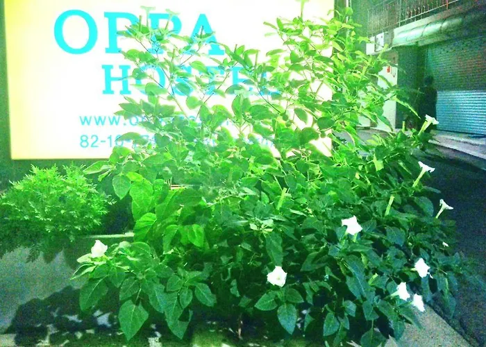 Oppa Sinchon-hongdae Hostal